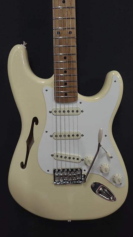 Custom Fender Thinline Stratocaster EJ Inspired Eric Johnson Signature Pickguard Assembly w/Gigbag image 1