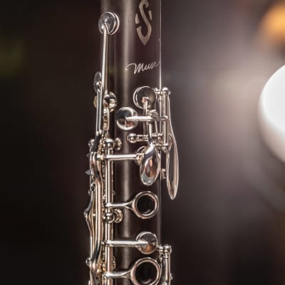 Selmer Paris B16MUSE Bb Clarinet Brand New Model READY TO SHIP! image 22