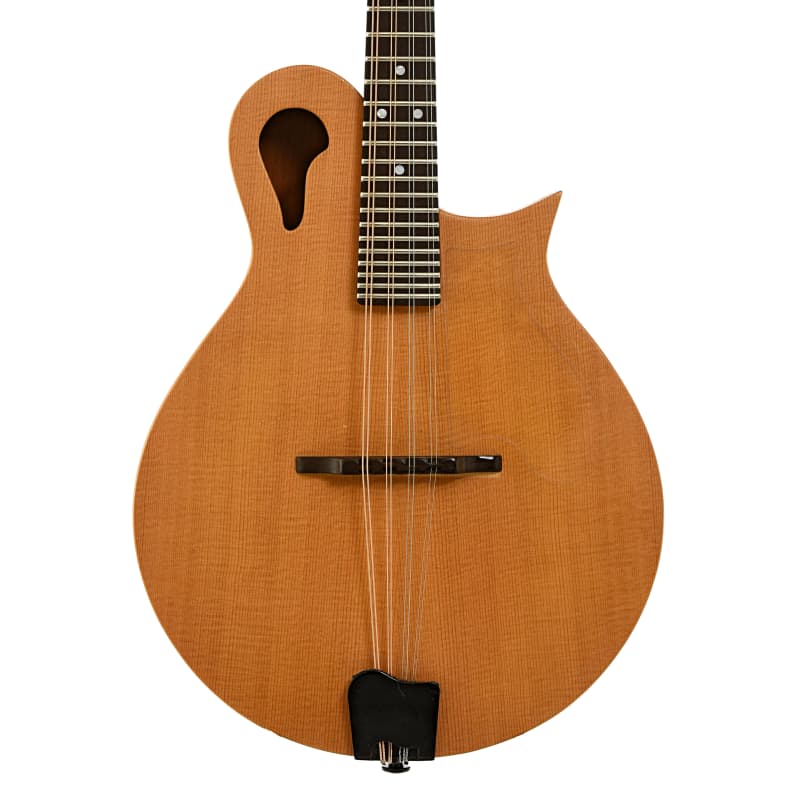 Tacoma Mandolin M3 タコマ フラットマンドリン