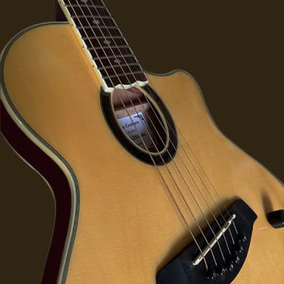 Aslin Dane  Icosa 6 String  thin line electric-acoustic guitar - Natrual  in High Gloss image 5