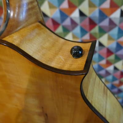 Phil Davidson Mandola 2017 image 13