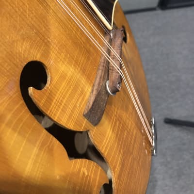 Vintage 1940's Kalamazoo Oriole Mandolin with Original Case image 19