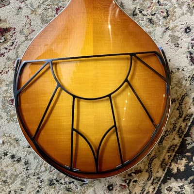 ToneGard for octave mandolin- OMGard image 1