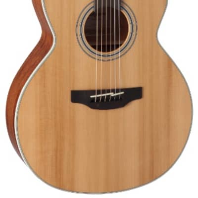 Takamine TAKGN20CENS Acoustic Electric Guitar image 1