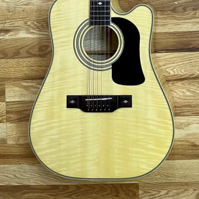John Hiatt's Washburn Timber Ridge D1712CE 12-String Acoustic with XLR / The Guitar From The Ad image 2