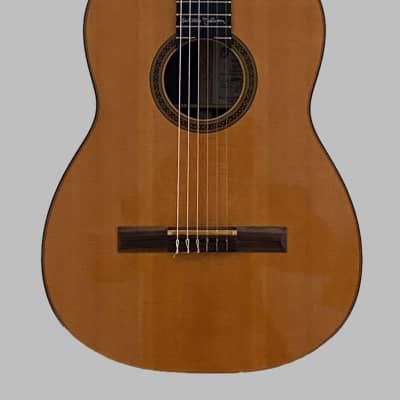 Martin N-20WN Willie Nelson Signature Edition 1998 image 2