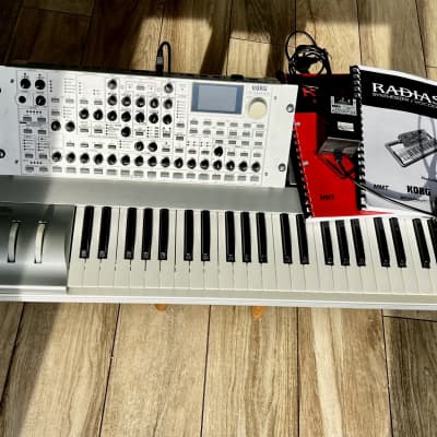 Korg Radias 2000s - Gray