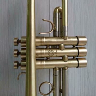 Trumpet Selmer Concept TT Paris Raw Brass with KGUBrass Trumpet Selmer Concept TT Paris Raw Brass with KGUBrass