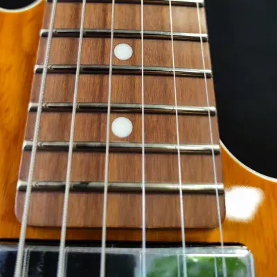 SCHECTER E-Gitarre, PT Van Nuys, Gloss Natural Ash image 5