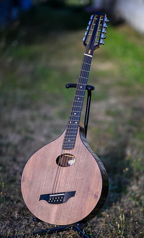 10 string cittern bouzouki mandocello octave mandolin made | Reverb