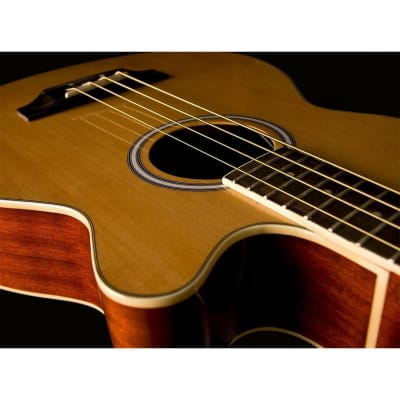 Washburn AB5K-A Acoustic-Electric Bass Guitar image 10