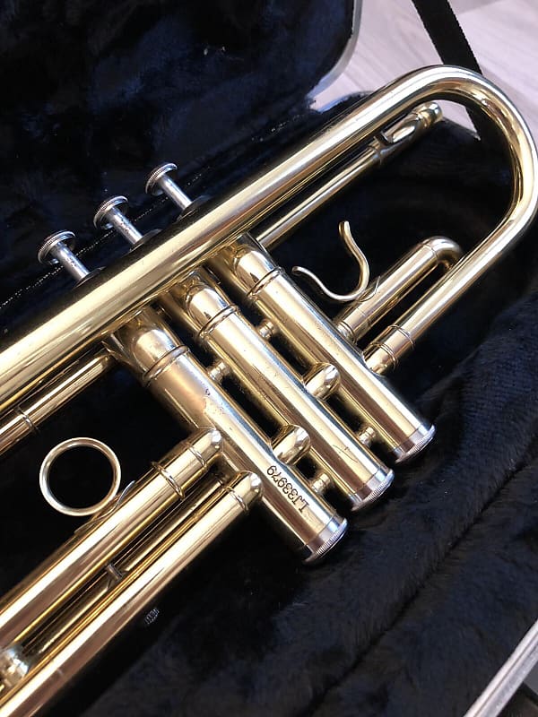 Maxtone by French Engineer French Horn | Reverb