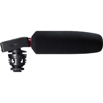Tascam DR-10SG Camera-Mountable DSLR Audio Recorder with Shotgun Microphone image 9