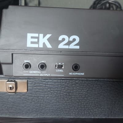 Elka EK 22 RARE + New Blu display + Ram 22 cartridge + Case (SERVICED) image 7