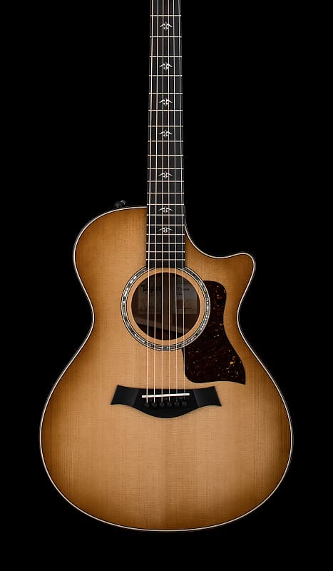 Taylor 512ce Acoustic Electric Guitar - Urban Ironbark