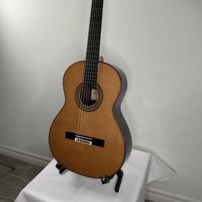 Antonio Picado Model 60 Classical Guitar Cedar & Rosewood w/case *made in Spain image 3
