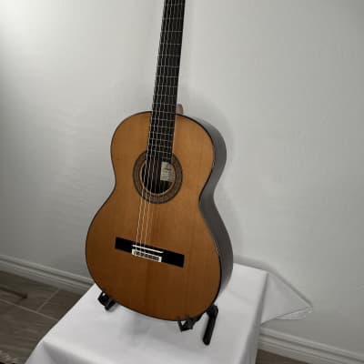 Antonio Picado Model 60 Classical Guitar Cedar & Rosewood w/case *made in Spain image 3