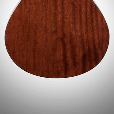 Breedlove Pursuit Concertina E Acoustic/Electric Guitar | Natural Gloss image 5