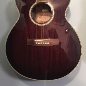 Takamine ts99c top