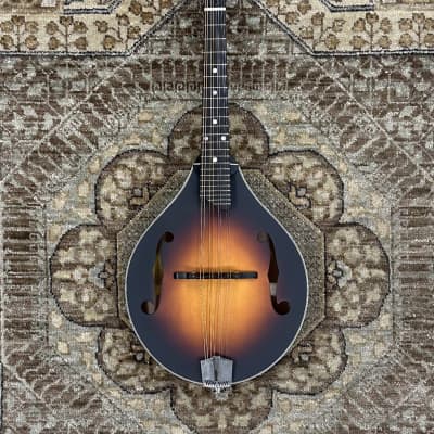 Eastman MD305E-SB A-Style Acoustic-Electric Mandolin w/ Bag, Pro Setup #2095 for sale