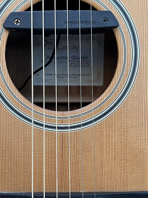 Takamine GS-330S with Fishman Humbucker & Case