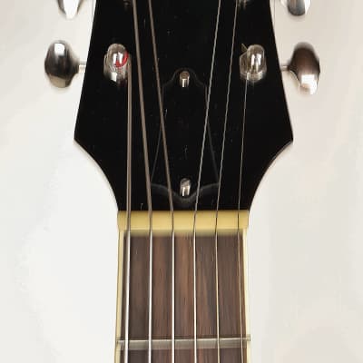 The Loar LH-280 | Reverb
