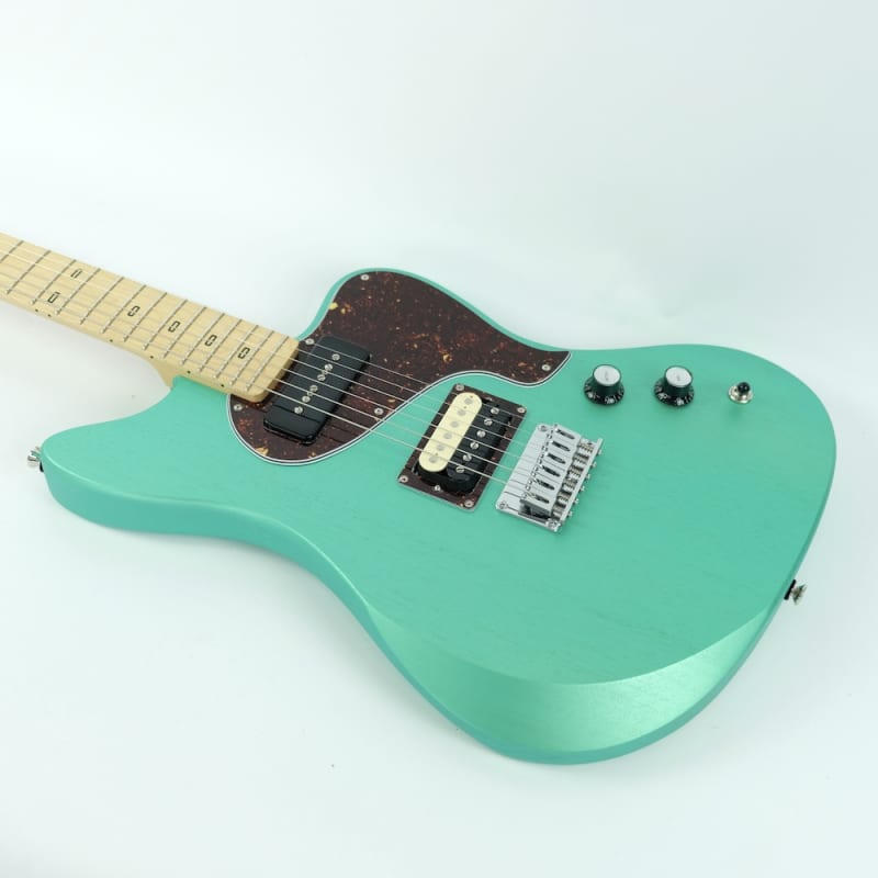 Psychederhythm Standard-T 2024 - Zebra Medium Blue Green Metallic 