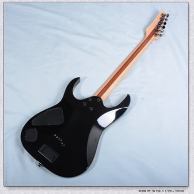 Ibanez RGIR20FE IRON LAVEL アイアンレーベル