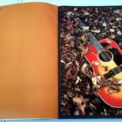 1966 Gibson Full Line Catalog - 1rst Full Color Gibson Catalog image 16