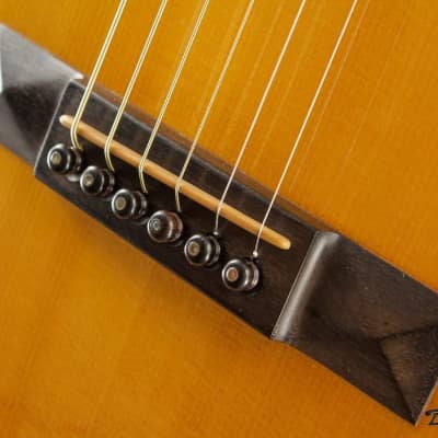 1994 Schoenberg/T.J. Thompson Soloist, Indian Rosewood/Sitka