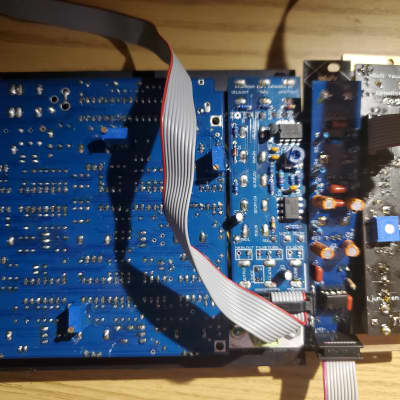 Rare Waves Hydronium Eurorack acid mono synth semi modular tb 303 voice with EQ and Distortion image 2