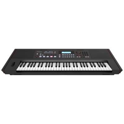 E-X50 Roland image 2