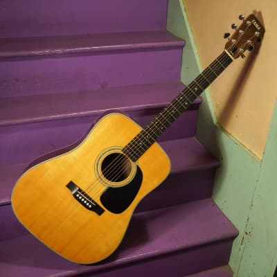 1975 Tama 3557 MIJ Dreadnought Guitar (VIDEO! Fresh Work, Ready to Go) for sale