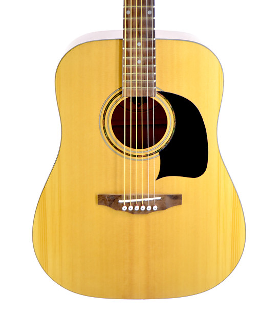Washburn house of deals blues acoustic guitar