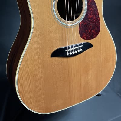 Alvarez Yairi DY50N Slope Shoulder Dreadnought Acoustic Guitar Gloss Natural w/ Case image 3
