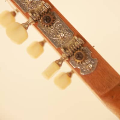Ricardo Sanchis Nacher ~1950  spruce/mahogany classical guitar - surprising sound + check video! image 7
