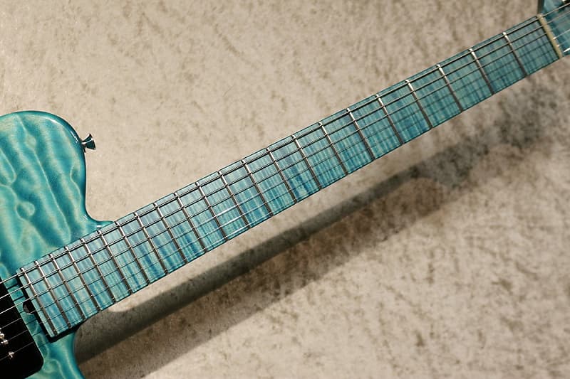 T's Guitars DTL-22 Custom[USED][Made in Japan] | Reverb