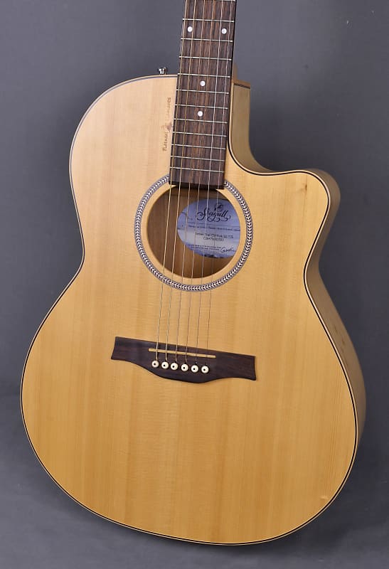Seagull Natural Element Amber Trail CW Folk SG T35 Guitar