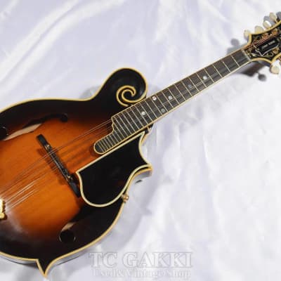 Gibson 1981 F 5L image 1
