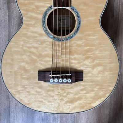 Michael Kelly Acoustic Bass Guitar - DragonflyFLN5 - 5 String Fretless - Hard Case - Lowest Price image 3