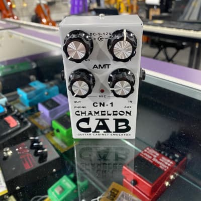 AMT Electronics CN-1 Chameleon Cab | Reverb