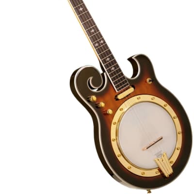 Gold Tone EBM-5 Electric Banjo image 2