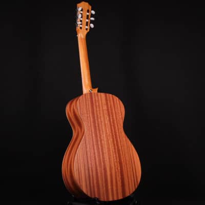 Taylor Academy 12e-N Natural Nylon String Guitar 2023 (2204243013) image 11