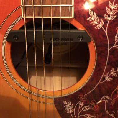 Epiphone Hummingbird Pro Acoustic Guitar Faded Cherry Sunburst  with Fishman Rare Earth Goose Neck Mic and HSC for sale