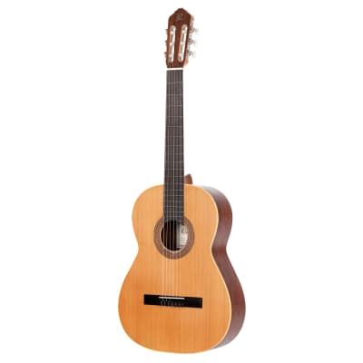 *NOS* Ortega Traditional Series R180 Made in Spain Classical Nylon String Guitar w/ Gig Bag - Natural image 3