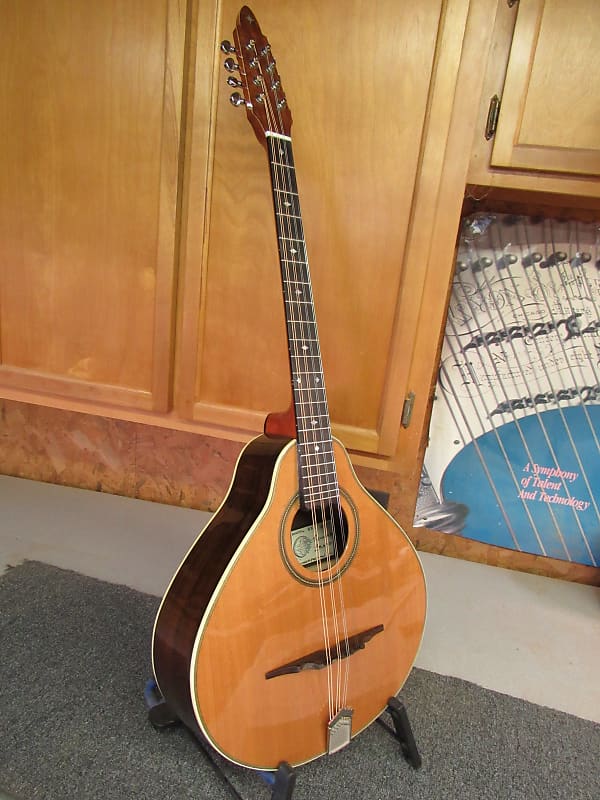 Beard Irish Bouzouki Reverb