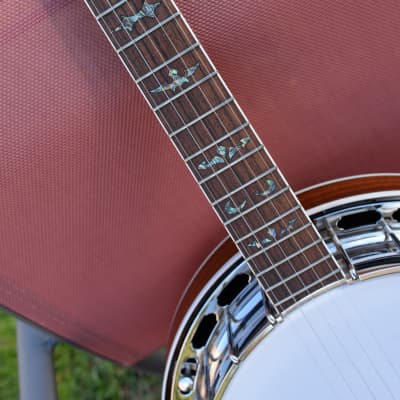Capek Scarab five string (flathead + archtop tone ring) image 7