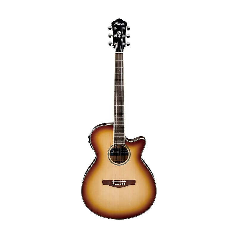 Ibanez / AEWC11-NNB アコースティックギター AEWC11 | Ibanez Wiki | Fandom