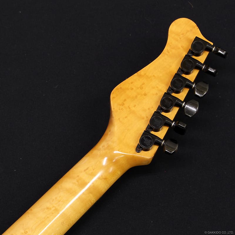 Valley Arts m Series Deluxe TLタイプ Valley Arts M-Series TL Type Flame Maple Top, SSH EMG