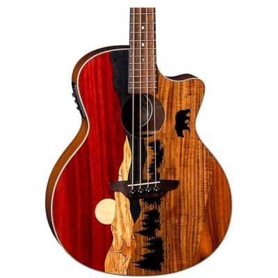 Luna Vista Bear Bass Tropical Wood Acoustic/Electric w/Case for sale